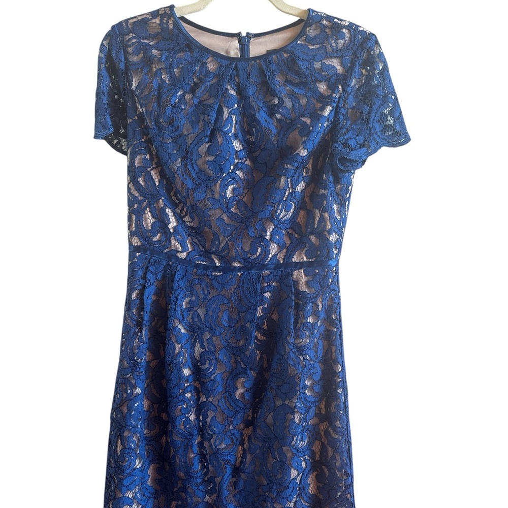 Adrianna Papell Woman’s Blue Elegant‎ Scalloped Lace Beige Under Slip Dress Sz 6